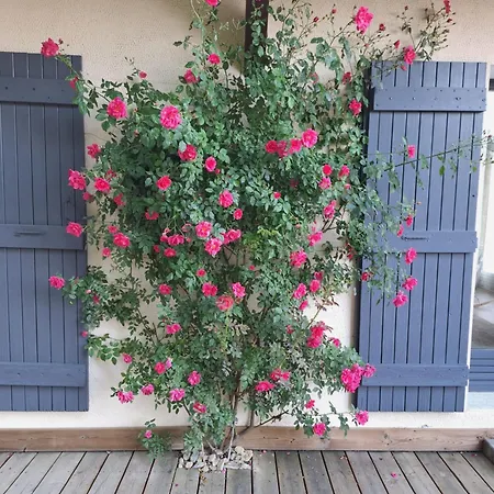 Maison Entre Et Montagnes
